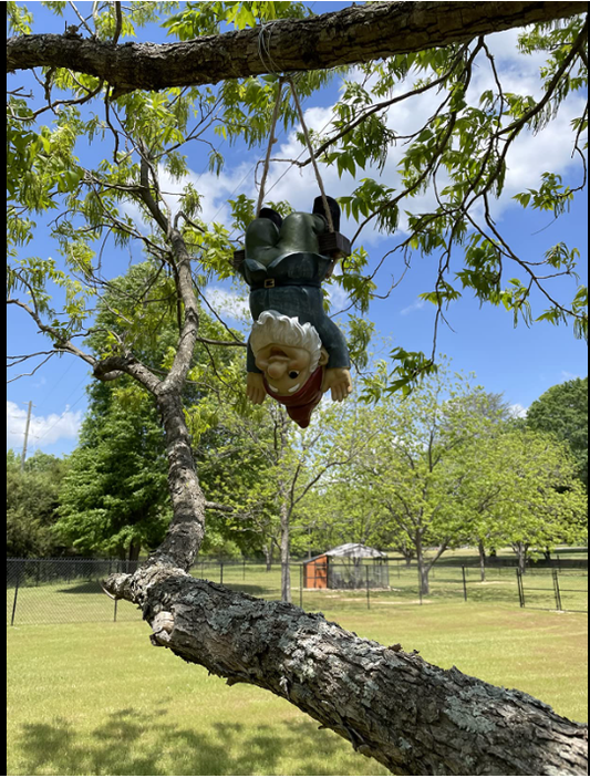 1 year of digital Marketing Guidance