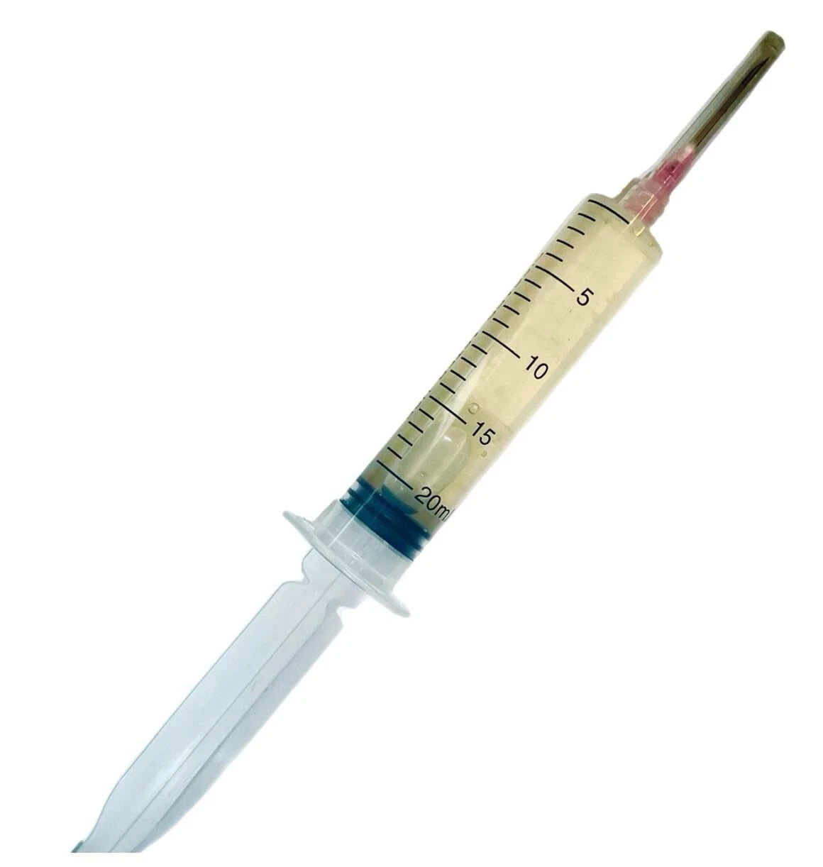 True Morel (Morchella esculenta) Liquid Culture 20mL | Spawn Mycology Seeds