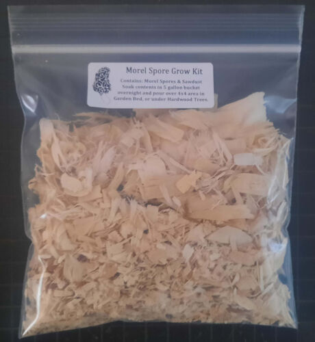 Premium Wild Spore Mushroom Seed Mix Slurry Kit - Instructions Included